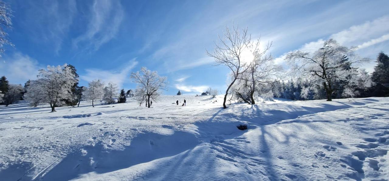 Pistenblume Apartment - Skipiste, Stadtzentrum Βίντερμπεργκ Εξωτερικό φωτογραφία
